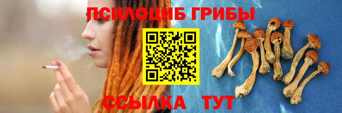 Галлюциногенные грибы MAGIC MUSHROOMS  Псилоцибиновые грибы мицелий  Вход с VPN  Можайск 